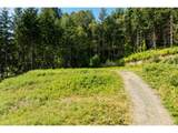 239 Junco Ln - Photo 18