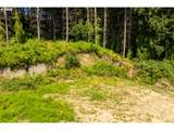 239 Junco Ln - Photo 20