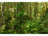 239 Junco Ln - Photo 22