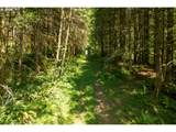 239 Junco Ln - Photo 24
