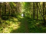 239 Junco Ln - Photo 25