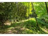 239 Junco Ln - Photo 28