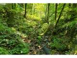239 Junco Ln - Photo 29