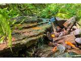239 Junco Ln - Photo 4