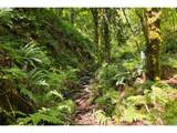 239 Junco Ln - Photo 5