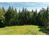 239 Junco Ln - Photo 6