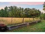 36301 Valley View Ln - Photo 36