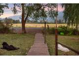 36301 Valley View Ln - Photo 41