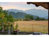 36301 Valley View Ln - Photo 43