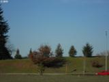 0 Battlecreek Rd - Photo 1