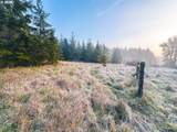 22399 Harris Rd - Photo 23