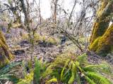 22399 Harris Rd - Photo 28