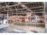 35719 Engle Rd - Photo 22