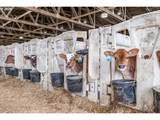35719 Engle Rd - Photo 26