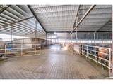 35719 Engle Rd - Photo 34