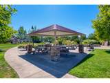 29276 Costa Cir - Photo 35