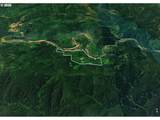  Alsea Hwy - Photo 18