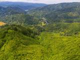  Alsea Hwy - Photo 19