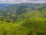  Alsea Hwy - Photo 20