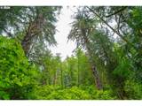 Alsea Hwy - Photo 28