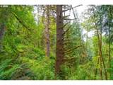  Alsea Hwy - Photo 29