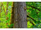  Alsea Hwy - Photo 30