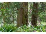  Alsea Hwy - Photo 34