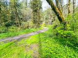  Alsea Hwy - Photo 38