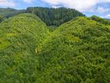  Alsea Hwy - Photo 4