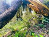  Alsea Hwy - Photo 40