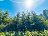  Alsea Hwy - Photo 44