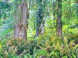  Alsea Hwy - Photo 48