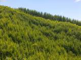  Alsea Hwy - Photo 5