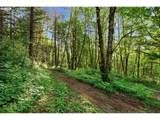 36806 Holling Ave - Photo 42