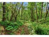 36806 Holling Ave - Photo 43
