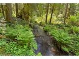36806 Holling Ave - Photo 44