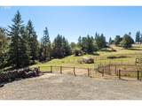 35003 119TH Ave - Photo 41