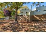 1608 Rolling Hill Dr - Photo 38