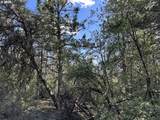 Sandpiper Dr - Photo 17