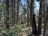  Sandpiper Dr - Photo 2