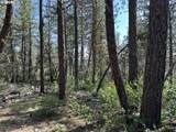  Sandpiper Dr - Photo 20