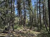  Sandpiper Dr - Photo 6