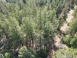  Sandpiper Dr - Photo 9
