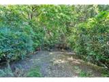 3909 135TH Ave - Photo 42