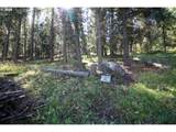  Beske Ln - Photo 5