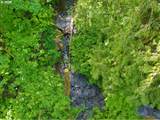 22665 Schaltenbrand Ln - Photo 40