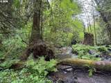 22665 Schaltenbrand Ln - Photo 41