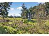 17765 Monnier Rd - Photo 44