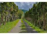 60192 Fairview Rd - Photo 4