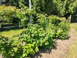 26383 Meridian Rd - Photo 38